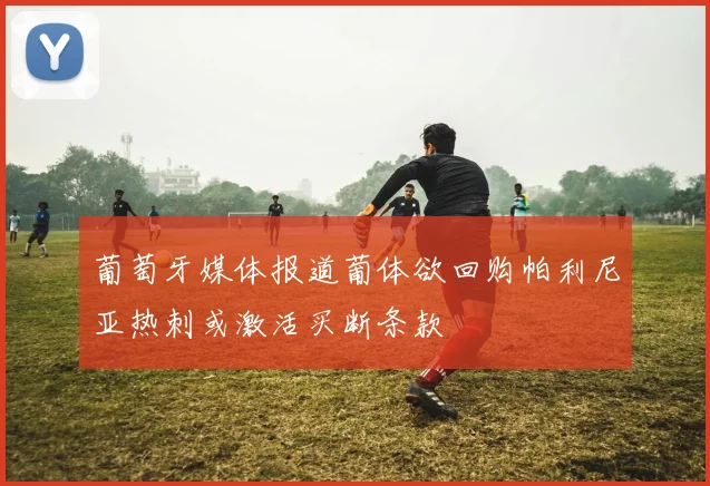 葡萄牙媒体报道葡体欲回购帕利尼亚热刺或激活买断条款